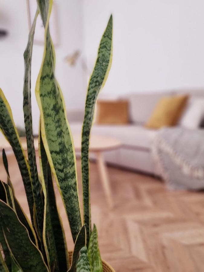 Cozy Apartment In The City Center Granada Esterno foto